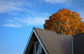 brown metalic roof house under the autmn tree against blue sky